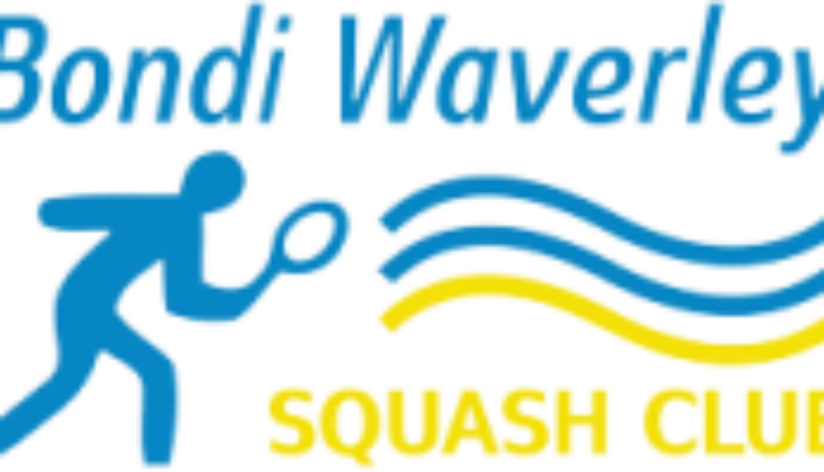 bondi logo